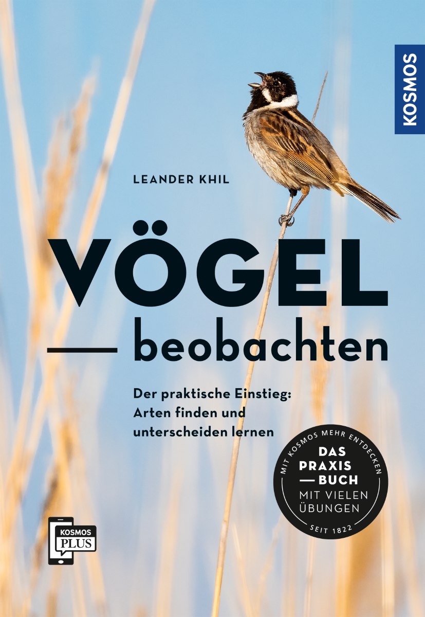 Vögel beobachten   Leander Khil