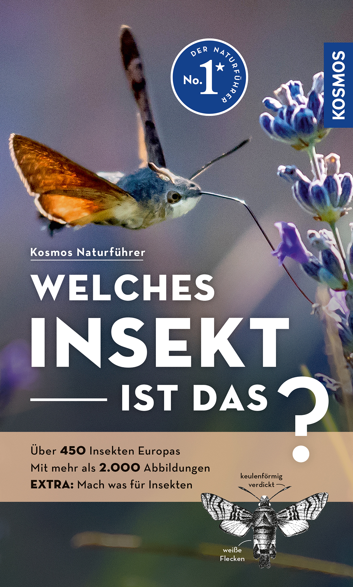 Buch: Welches Insekt Ist Das von Kosmos