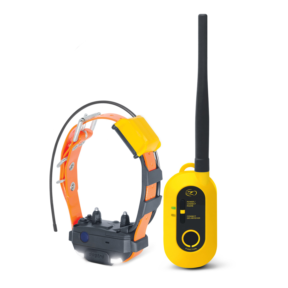 Dogtra Ferntrainer/GPS Pathfinder 2 Mini  für kleine Hunde  Vielseitiges Training  Intelligente Ortung 