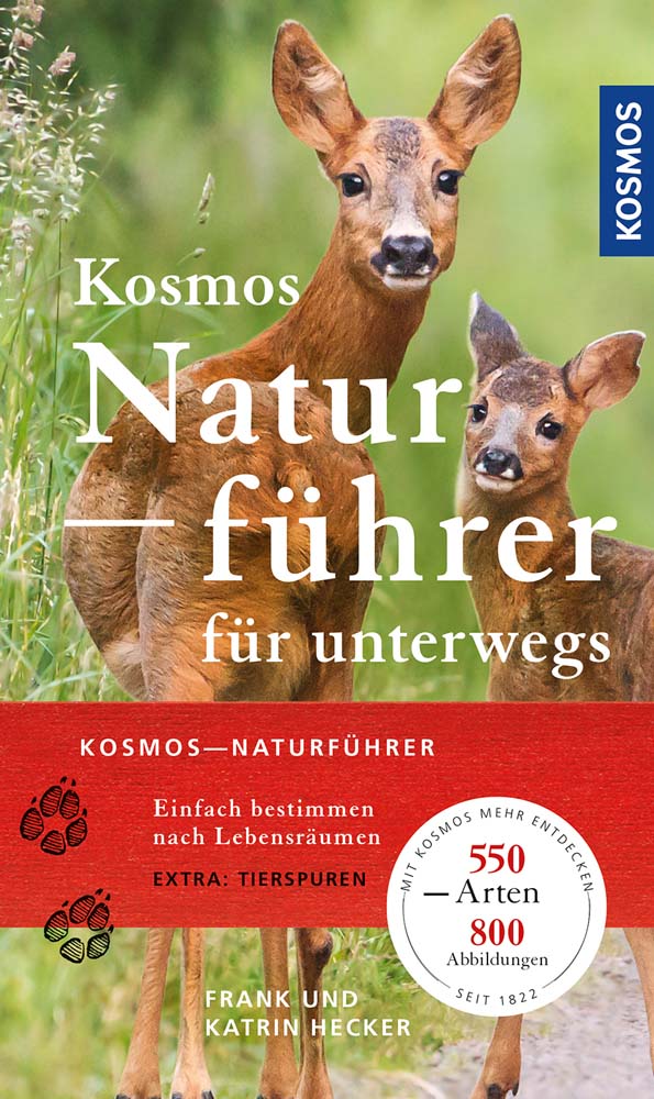 Der Kosmos Naturführer für unterwegs von Frank und Katrin Hecker.