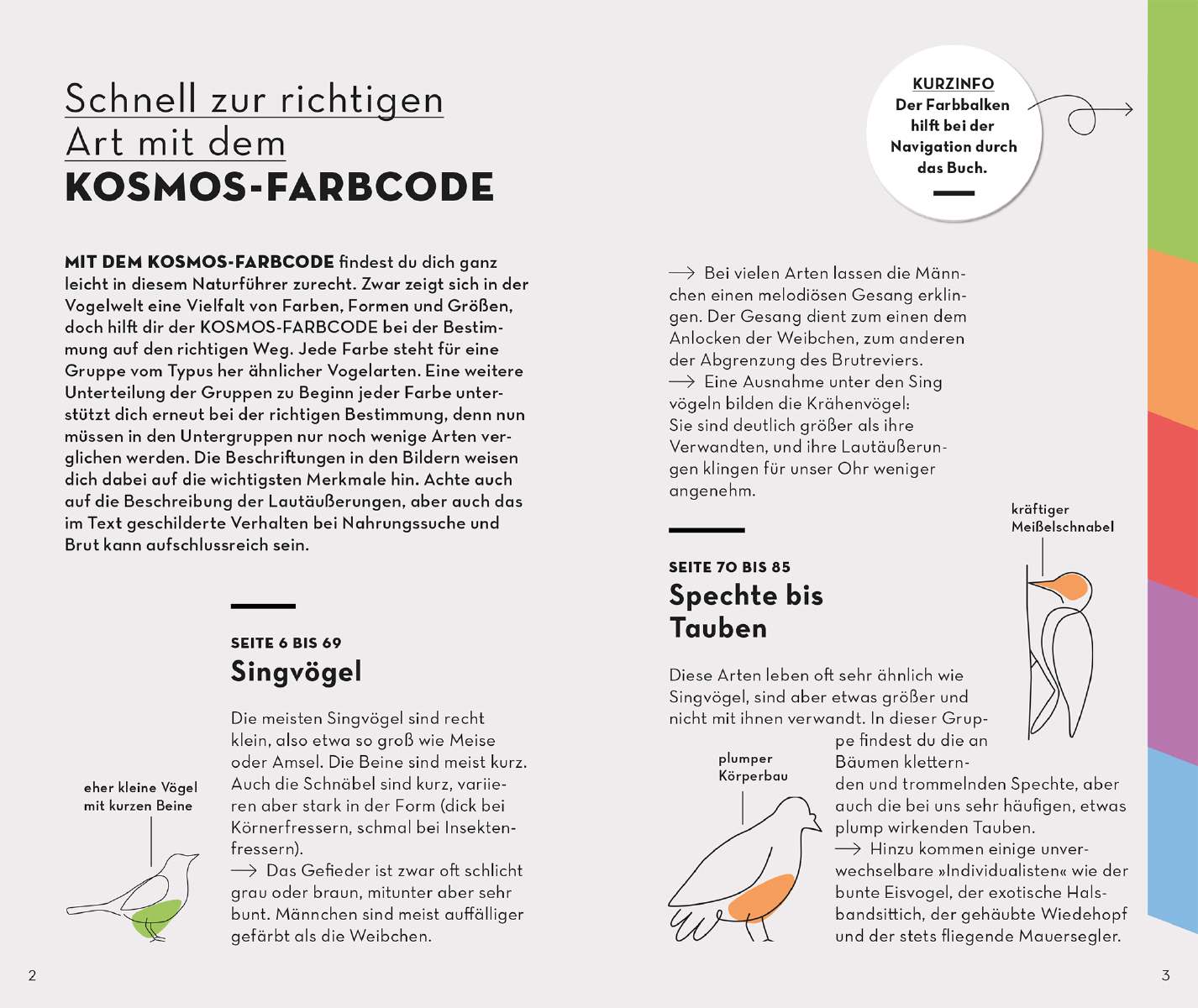 Kosmos Verlag Naturführer Basic Gartenvögel  Naturführer „Basic Gartenvögel“ vom Kosmos Verlag mit einfach Bestimmungshilfen probeseite41